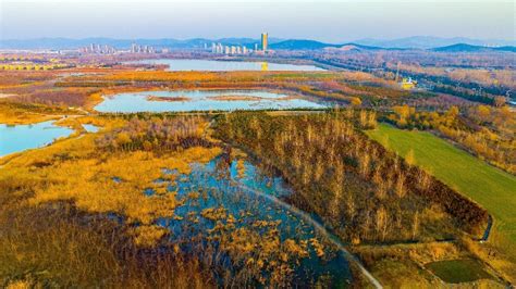 長安溼地公園在哪裏與其生態價值何在